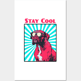 Boxer Dog Stay Cool Design Posters and Art